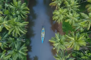 Kerala Tourism – Discover the Magical Land of Backwaters