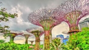 Luxury honeymoon Singapore from Mumbai – Gardens by the Bay
