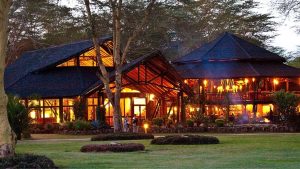 "Kenya tour package safari experience in Maasai Mara"