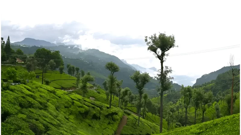 Karnataka