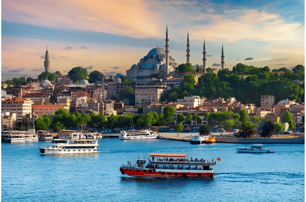turkey turkey