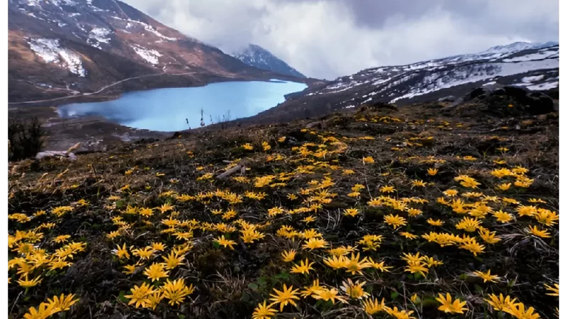 sikkim