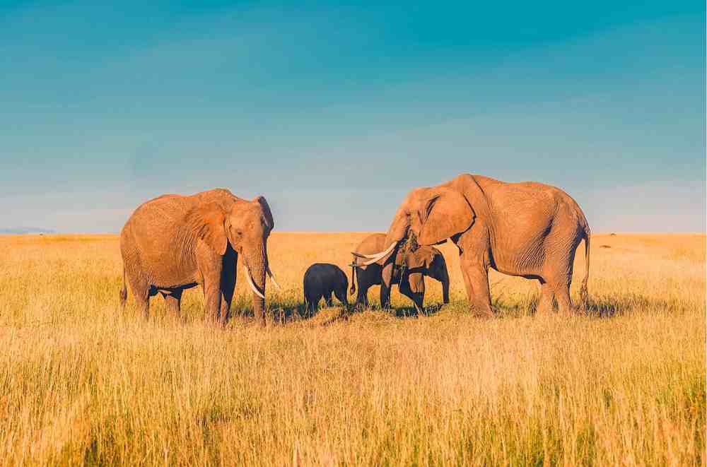Read more about the article South Africa Travel Diary — Day-by-Day Journey