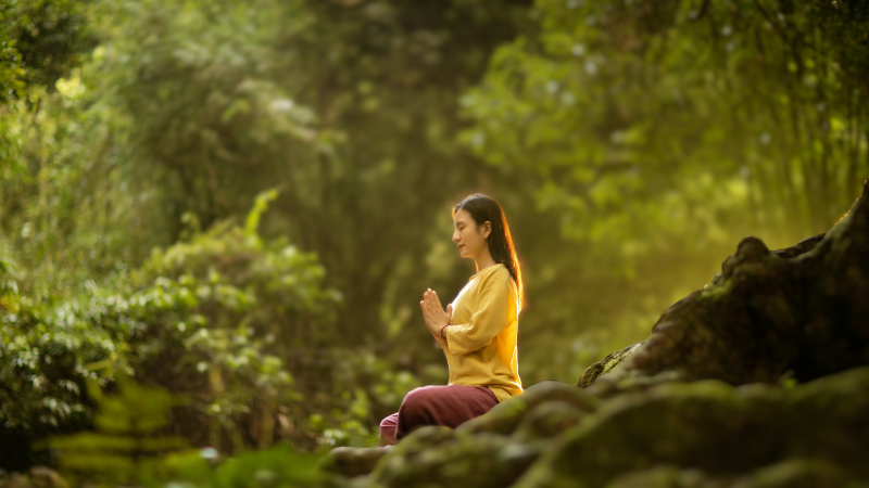 Read more about the article Healing Holidays and Healing Resorts in India: Rejuvenate with Mauzee Holiday