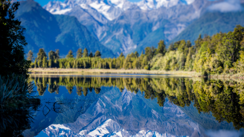 NEW ZEALAND (4)