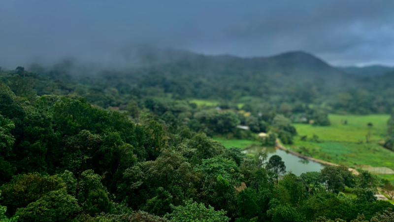 coorg
