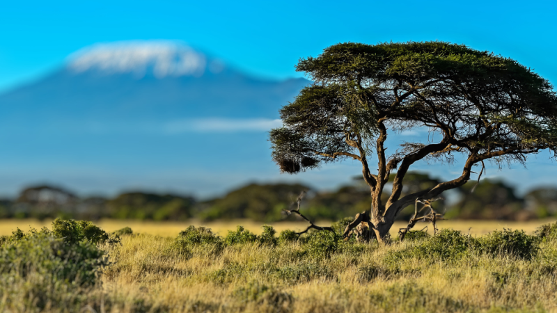 kenya (2)