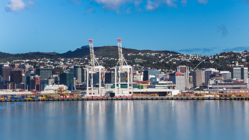 Read more about the article New Zealand Travel Guide for Indian Tourists