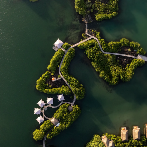 Constance Prince Maurice