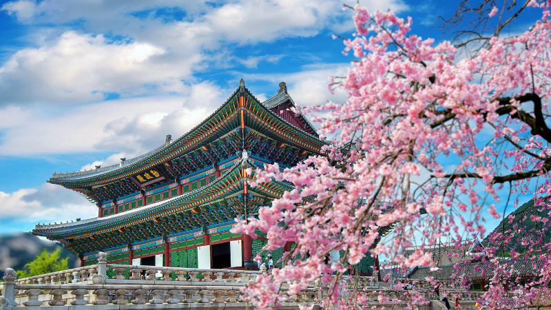 You are currently viewing South Korea Travel Guide for International Travelers: Luxury & Family-Friendly Experiences