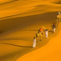 Rajasthan