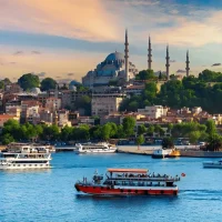 turkey turkey